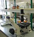 Suvremeni laboratorij za bioloska istrazivanja